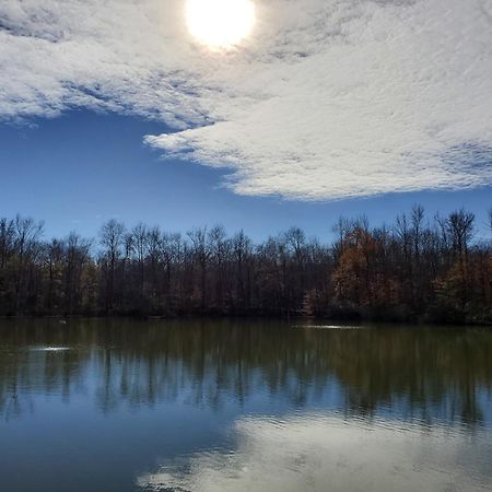 Rva Cottage Cozy & Spacious Near Downtown Richmond Exteriér fotografie